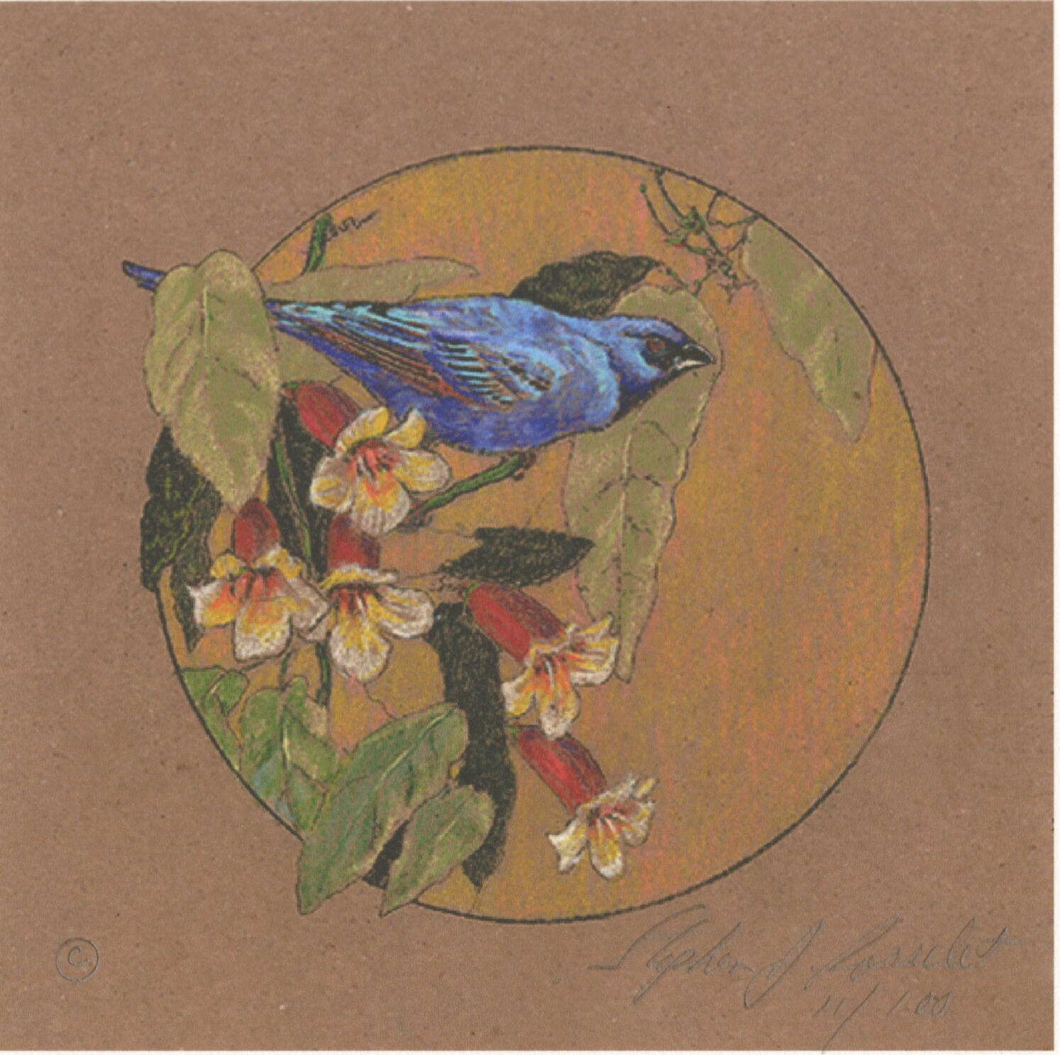 Image of illustration of small blue bird with turquoise/red wing tips sitting in leafy branches with small red/white flowers.